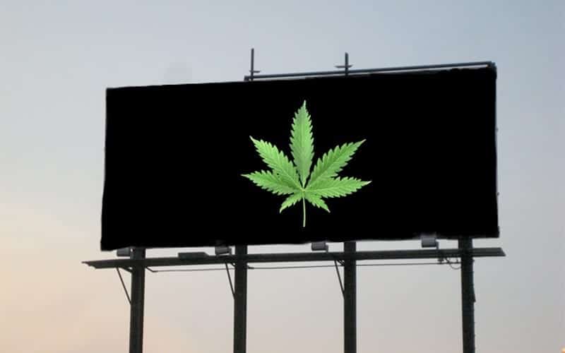 cannabis advertising agency