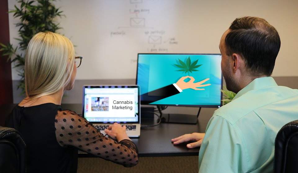 Cannabis marketing agency